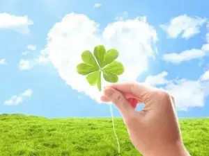 Cụm cỏ bốn lá nằm sát mặt đất, màu may lành hiện lên qua sắc xanh tươi non.