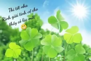 Thảm lá thấp phủ đầy khung ngang, sắc xanh mướt giúp hình nền máy tính cỏ 4 lá dịu hơn.