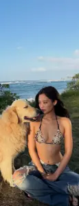 Bên chú chó vàng cô gái tóc đen mặc bikini họa tiết ngồi dịu dàng trước biển