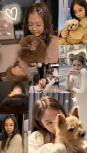 Collage nâu của Jennie Ruby Jane có ảnh ôm cún, selfie gần và ánh đèn phòng ấm